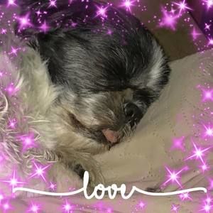 Meet your Posher, Kelli